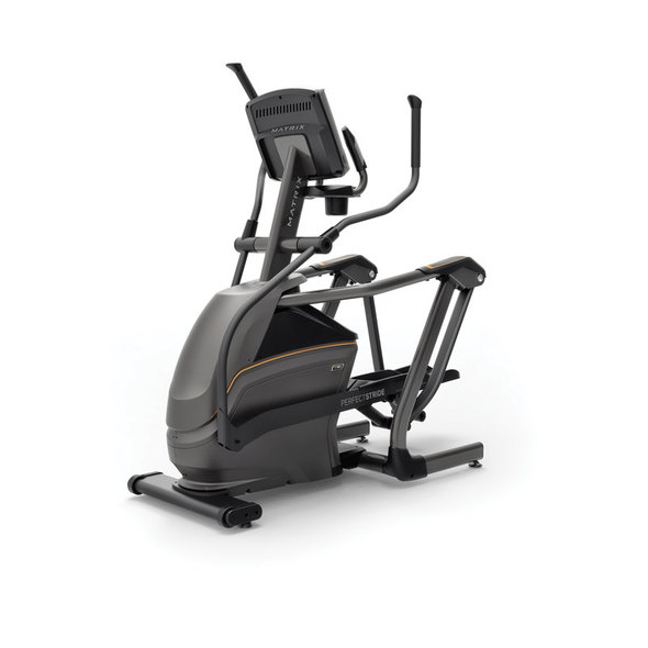 True Fitness PS100